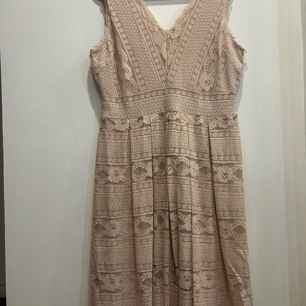 Dex Lace Midi Dress in Beige